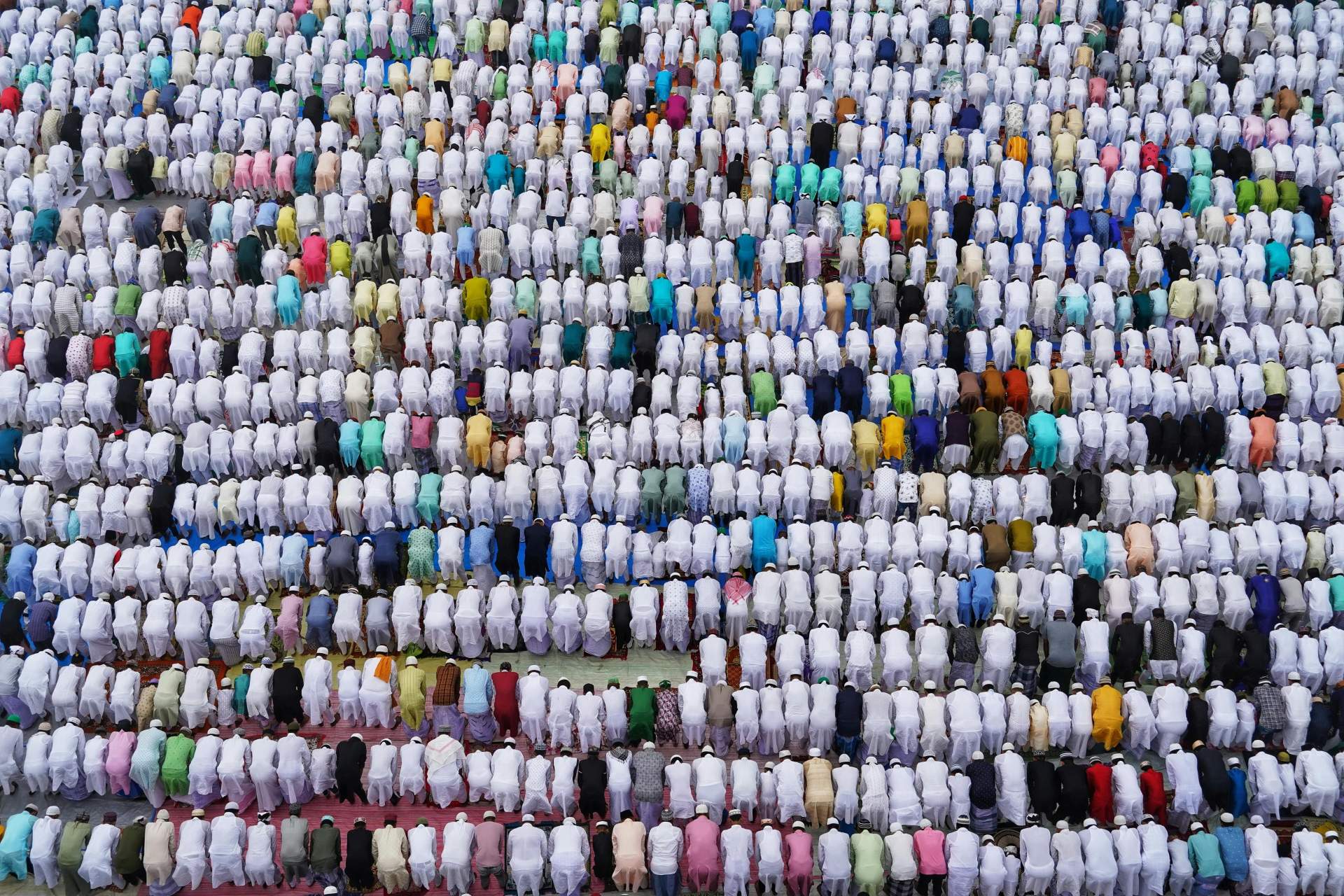 Crowds of Indian Muslims kneel in prayer at an appointed prayer hour.